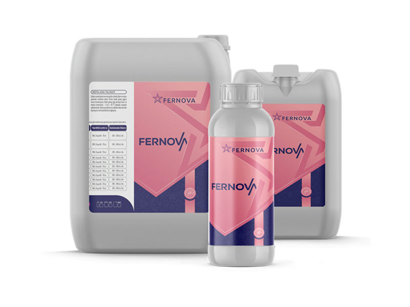 Fernova