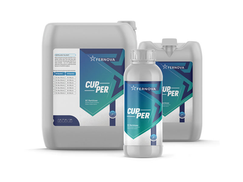 Cupper
