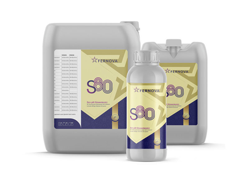 S80