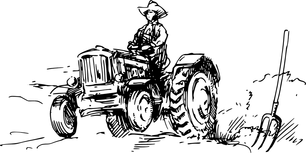 Fernova Organik